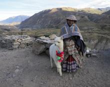 Frank Slomski: Peru