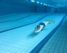 Finswimming Tauchclub Plattling