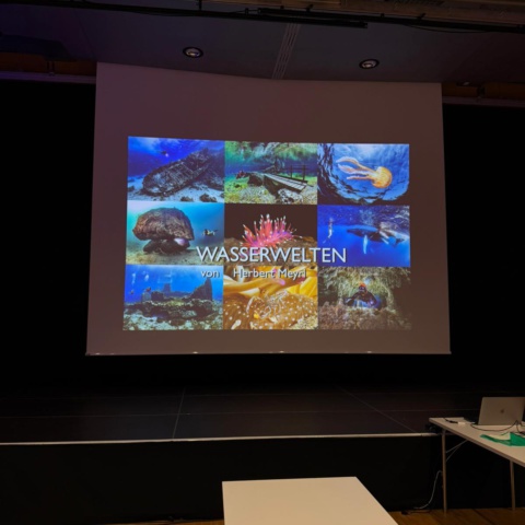 Ein Abend voller faszinierender Unterwasserwelten