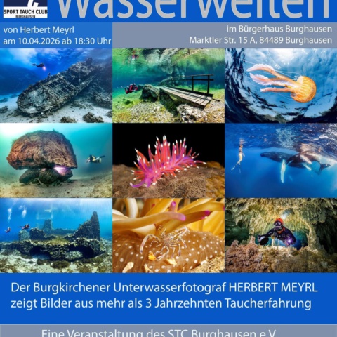 Ein Abend voller faszinierender Unterwasserwelten
