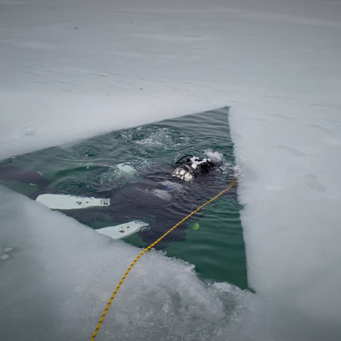 VDST Spezialkurs “GDL Ice Diver”
