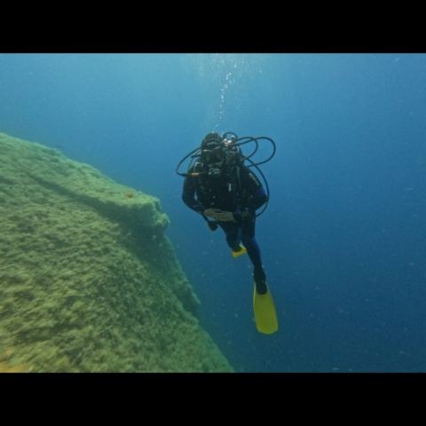 Tauchurlaub auf Elba – Pfingsten 2026