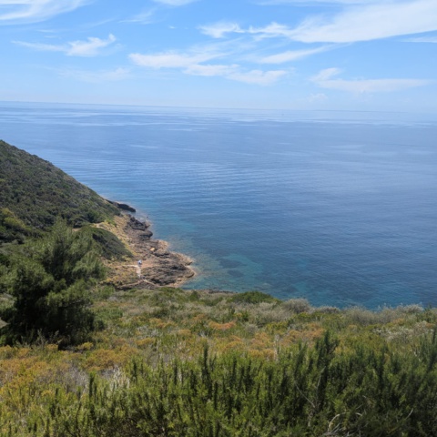 Tauchurlaub auf Elba – Pfingsten 2026