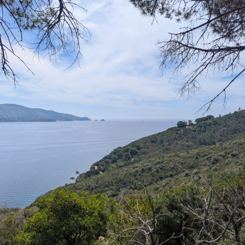 Tauchurlaub auf Elba – Pfingsten 2026